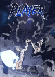 Player cover