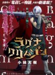 Ragna Crimson cover