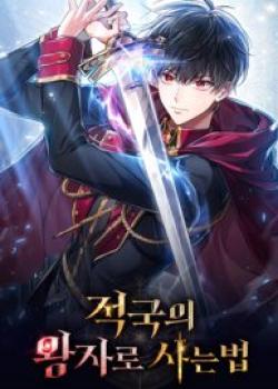 Reborn as the Enemy Prince cover