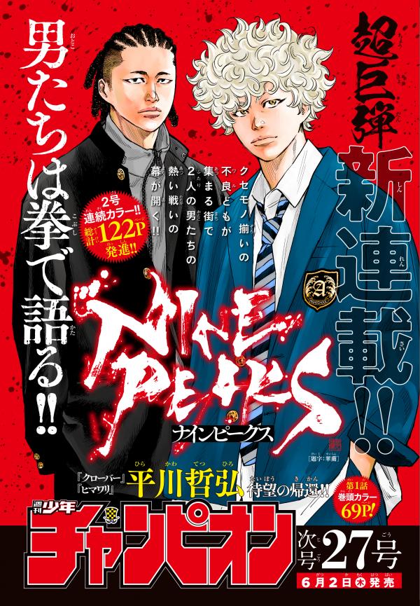 Nine Peaks cover