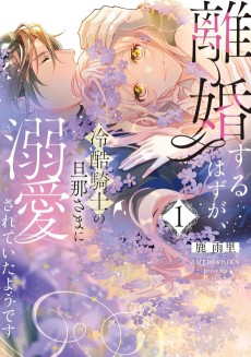Rikon Suru Hazu ga, Reikoku Kishi no Danna-sama ni Dekiai Sarete Itayou desu