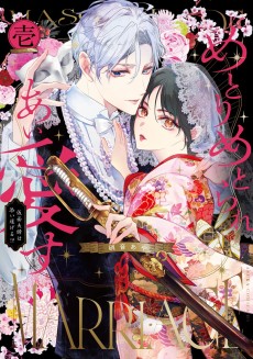 Metori Metorare Ai Aisu: Kamen Fuufu wa Soitogeru!?
