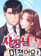 My Crazy Boss cover