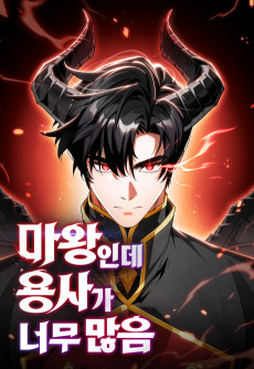 Too Many Heroes for the Demon Lord