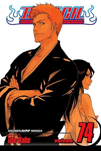 Bleach cover