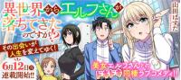 Isekai kara Elf-san ga Ochite Kita no desu ga!?