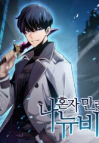 Solo Max-Level Newbie cover