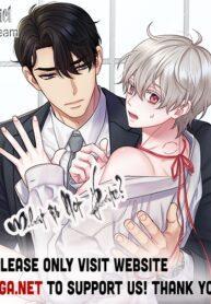 What If Not Fate? cover