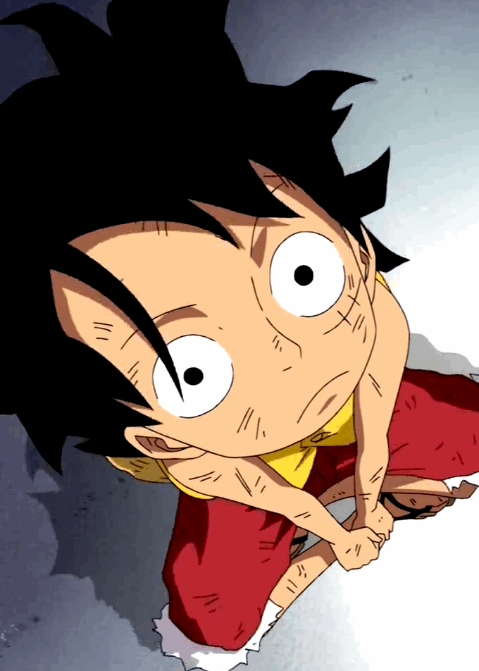 One Piece cover
