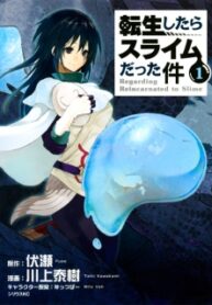Tensei Shitara Slime Datta Ken cover