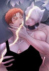 The Wolf and the Delinquent