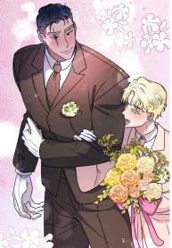 Shark And Bunny Bride