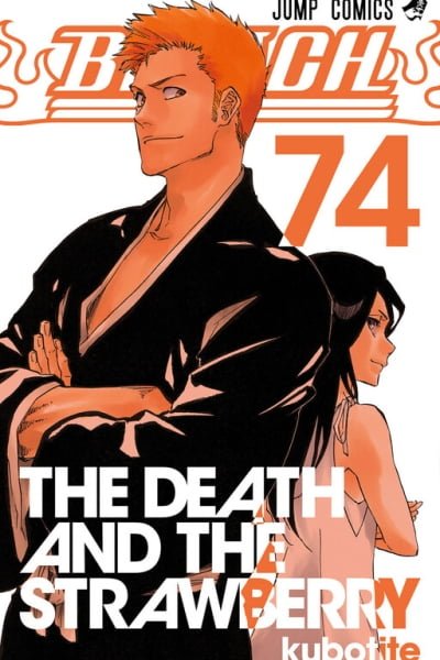Bleach cover
