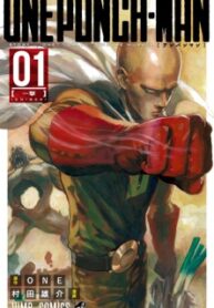 One Punch Man cover