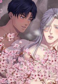 Beautiful Merman cover