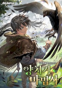 The Shepherd Wizard cover
