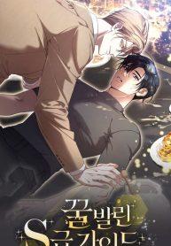 Honey Coated S Class Guide cover