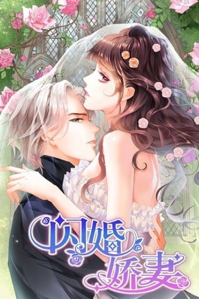 The Beautiful Wife of the Whirlwind Marriage