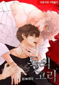 The Poison Ring cover