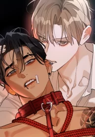 Falling Brothers cover