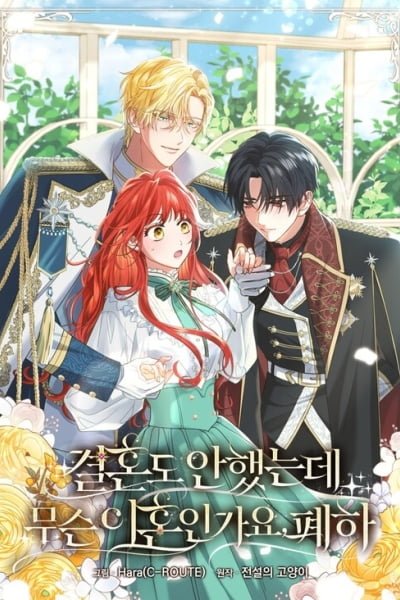 Divorcing the Emperor cover