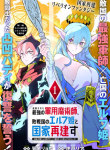 Shokei Sareta Saikyou no Gunnyou Majutsushi, Haisenkoku no Elf Hime to Kokka Saikensu ~ Sokoku yo Jama Suru no wa Kattedaga, Sono Majutsu Tsukutta no Ore na Node Kikanai ga? ~
