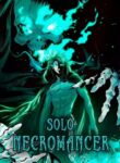 The Lone Necromancer cover