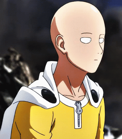 One Punch Man cover