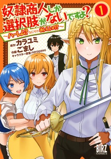 Dorei Shounin shika Sentakushi ga Nai desu yo? Harem? Nani Sore Oishii no?