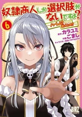 Dorei Shounin shika Sentakushi ga Nai desu yo? Harem? Nani Sore Oishii no?