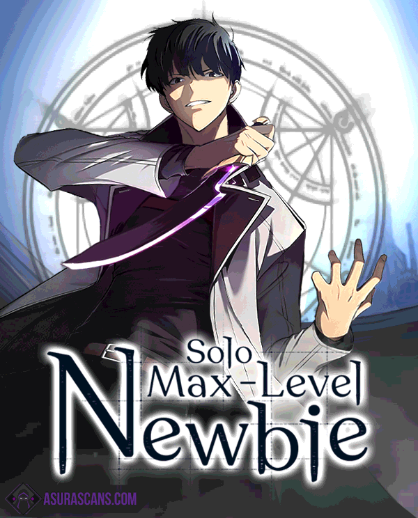 Solo Max-Level Newbie cover