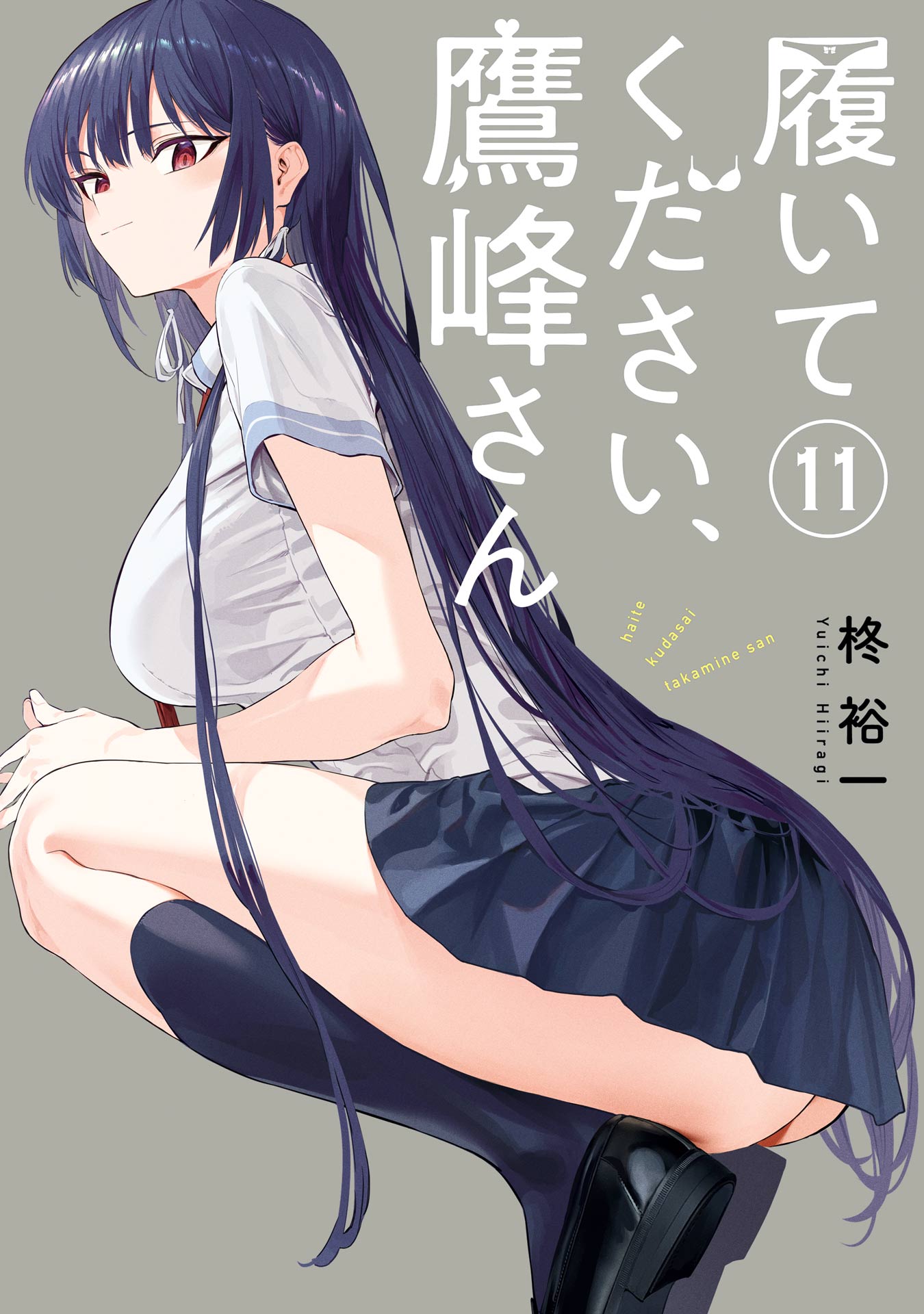 Haite Kudasai, Takamine-san cover