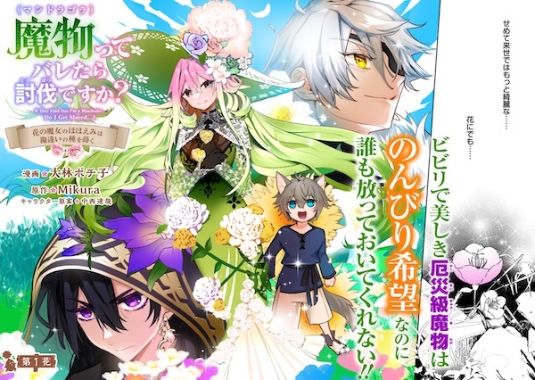 Mandragora tte Baretara Toubatsu desu ka? Hana no Majo no Hohoemi wa Kanchigai no Tane wo Maku Mandragora tte Baretara Toubatsu desu ka? Hana no Majo no Hohoemi wa Kanchigai no Tane wo Maku