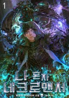 The Lone Necromancer cover